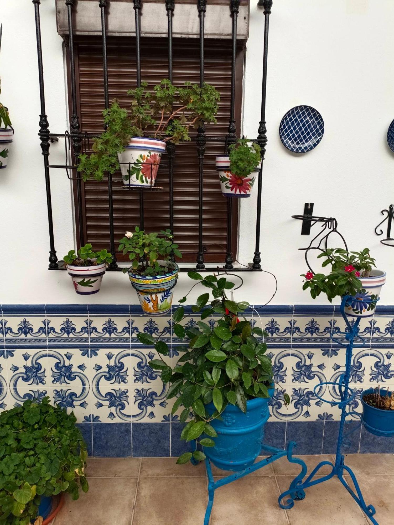 Casa Rural Patio Rociero El Rocio Bagian luar foto